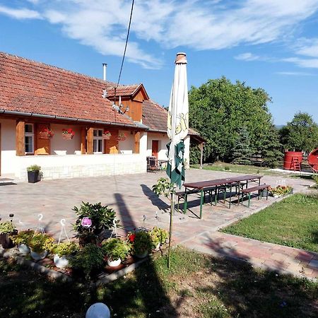 Hegyalja Vendeghaz Apartment Tolcsva Bagian luar foto